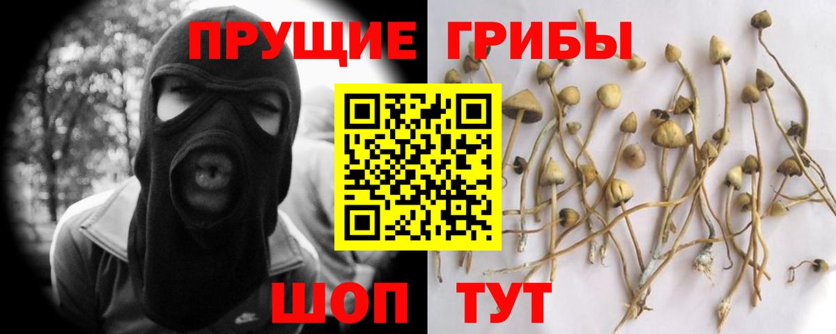 Псилоцибиновые грибы Psilocybine cubensis  Вход с VPN  Псилоцибиновые грибы Magic Shrooms  Губкин 